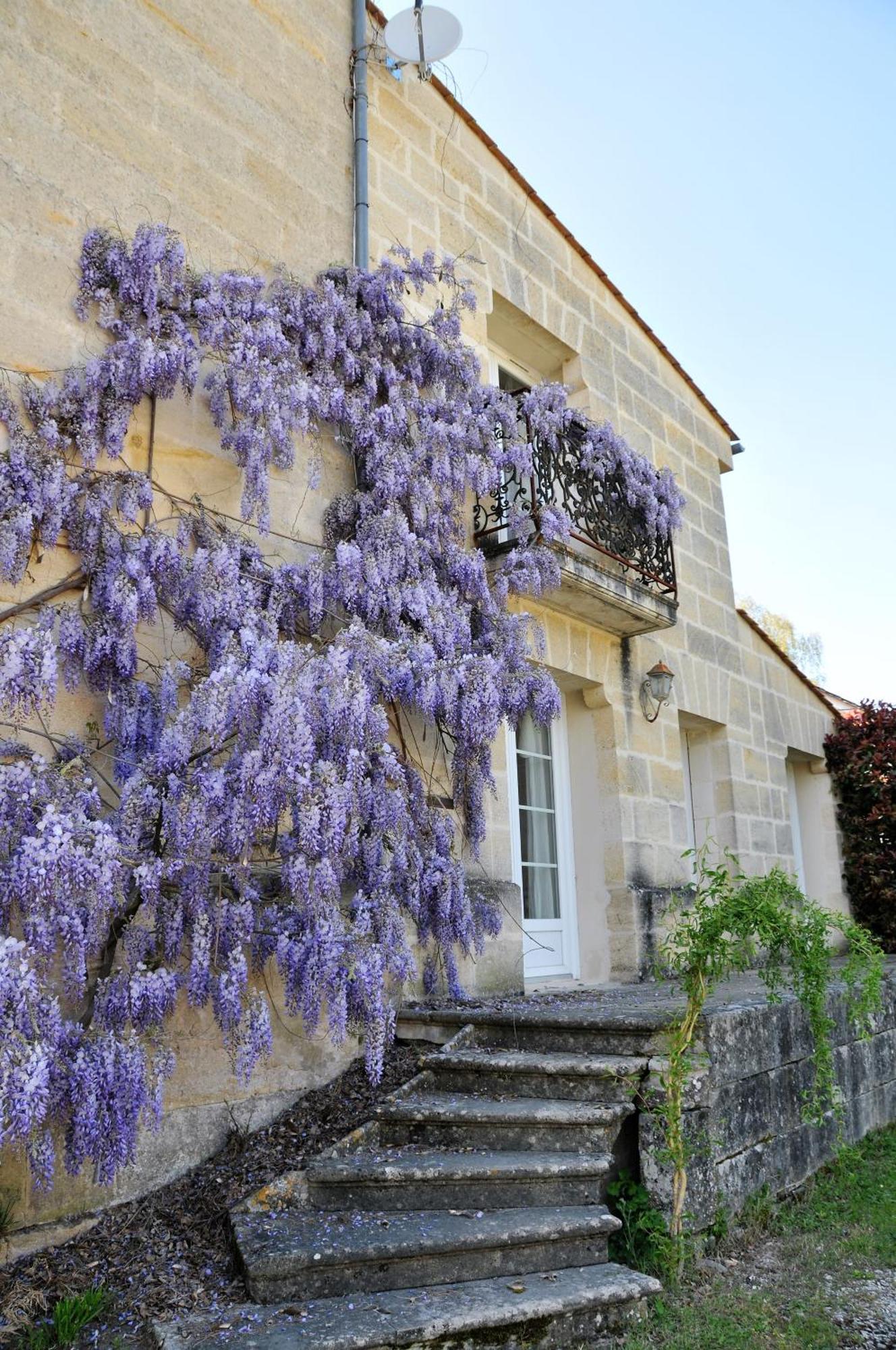 Buisson Gite Et Chambre D'Hote Laruscade Zewnętrze zdjęcie